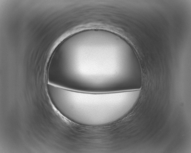 X0000080141527200612081013