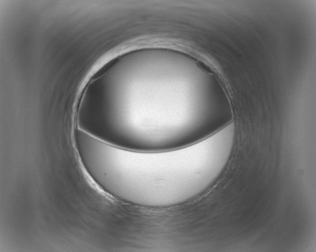 X0000080141528200612081013