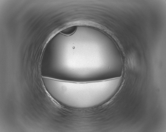 X0000080141529200612081013