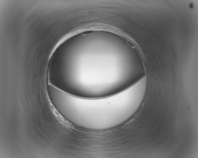 X0000080141530200612081013