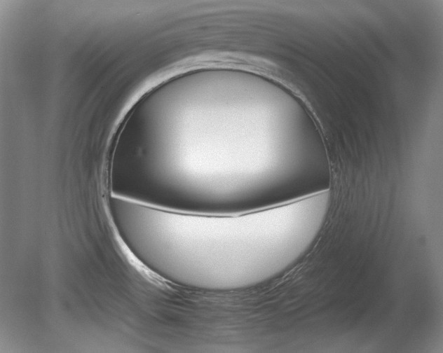 X0000080141531200612081013
