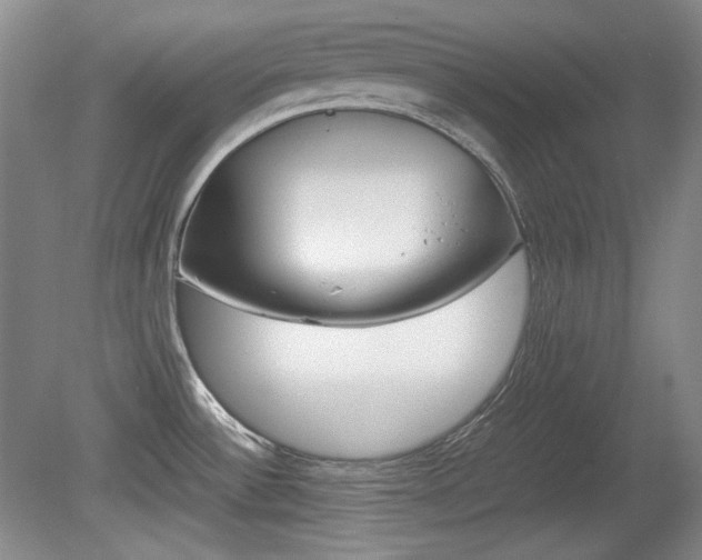 X0000080141532200612081013