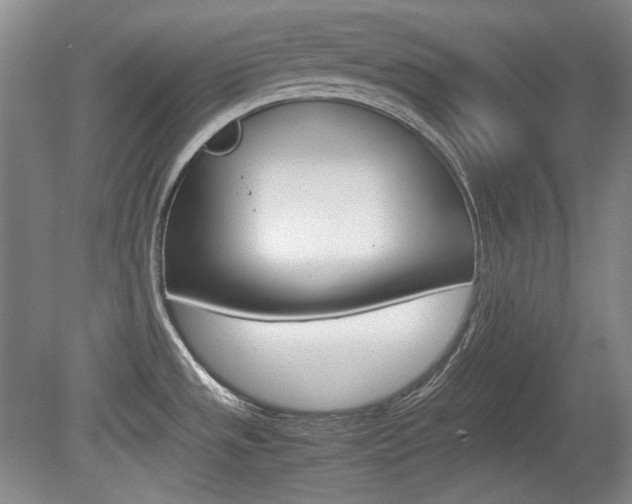 X0000080141533200612081013