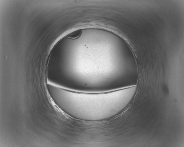 X0000080141534200612081013
