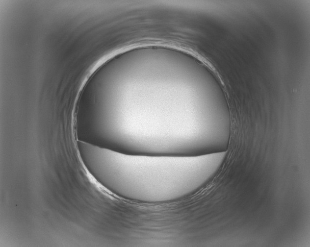 X0000080141535200612081013