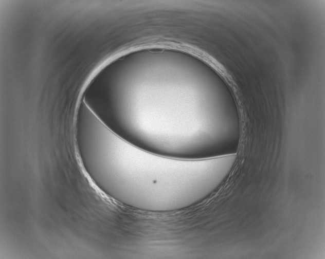 X0000080141536200612081013