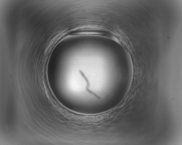 X0000080140001200612081308