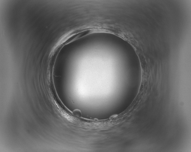 X0000080140005200612081308