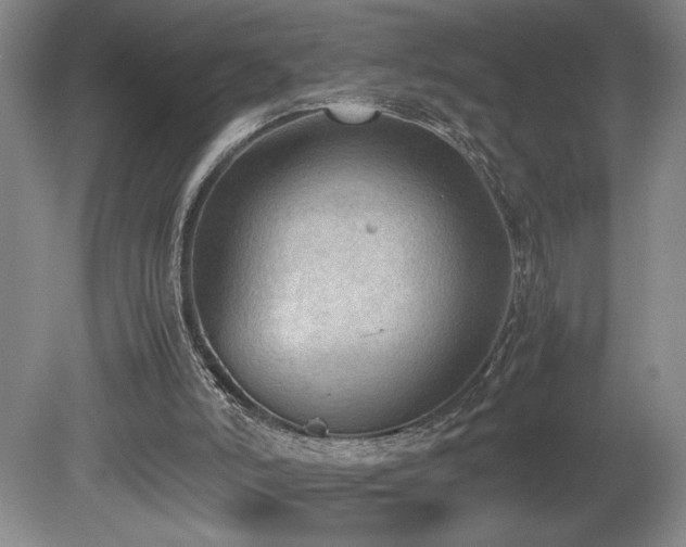 X0000080140006200612081308
