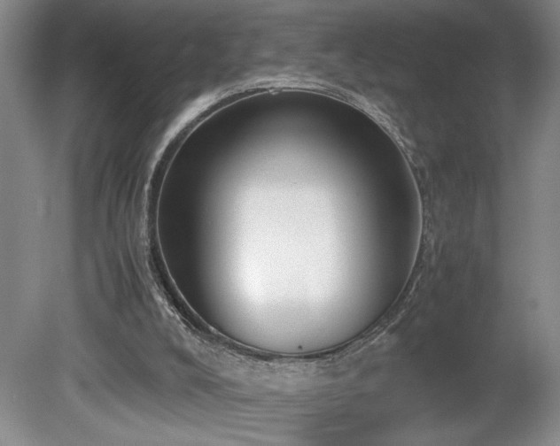 X0000080140008200612081308