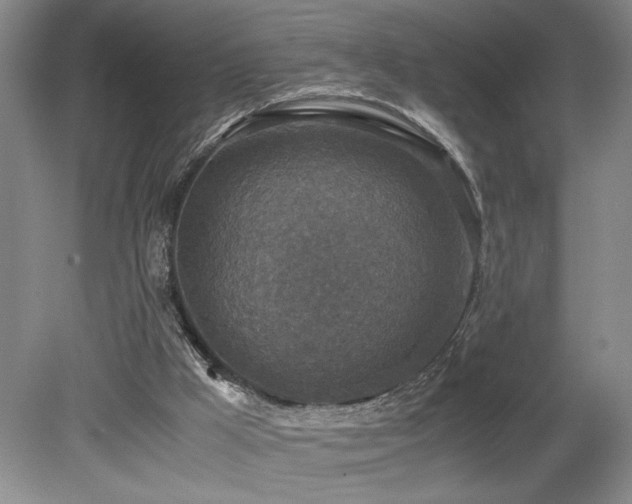X0000080140009200612081308