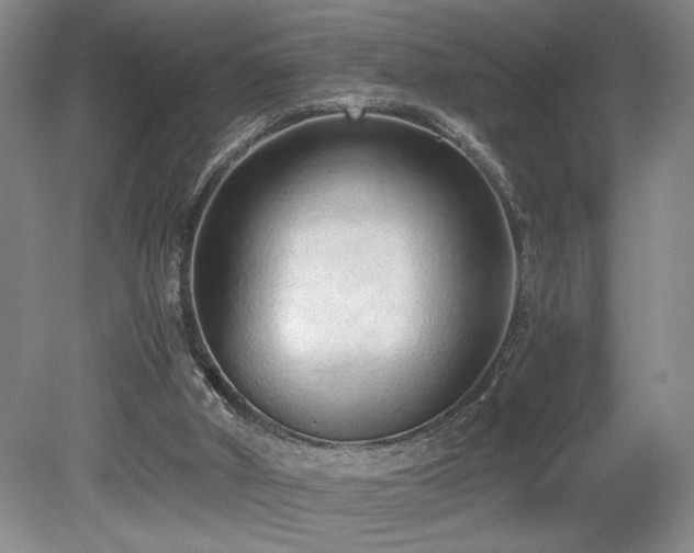 X0000080140010200612081308