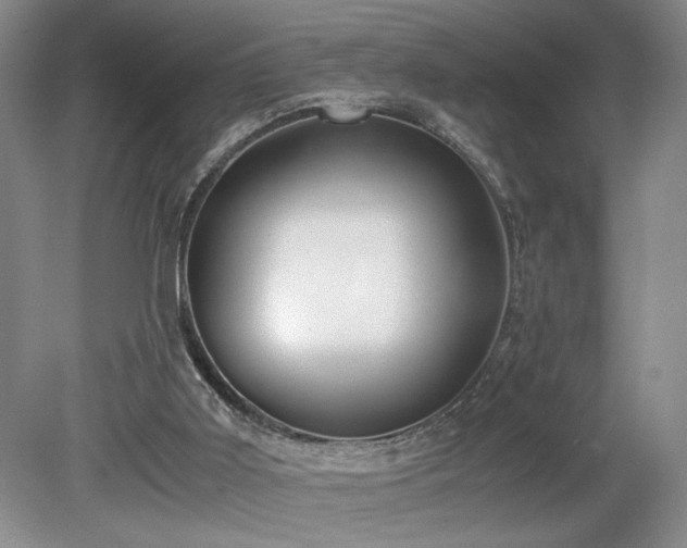 X0000080140011200612081308