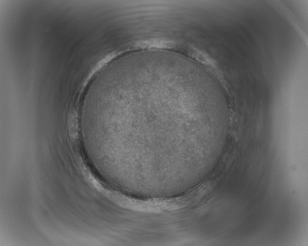 X0000080140012200612081308