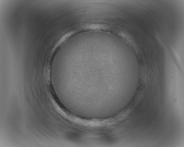 X0000080140016200612081307
