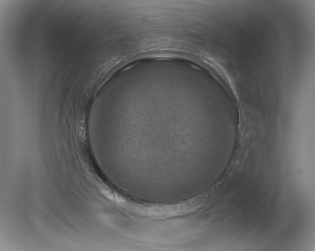 X0000080140017200612081307