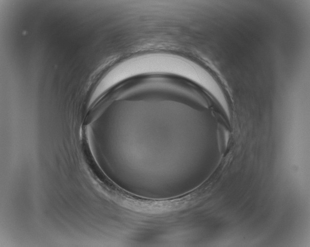 X0000080140019200612081307