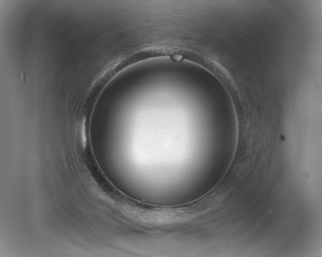 X0000080140020200612081307