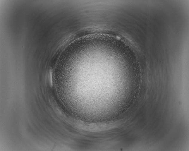 X0000080140022200612081307
