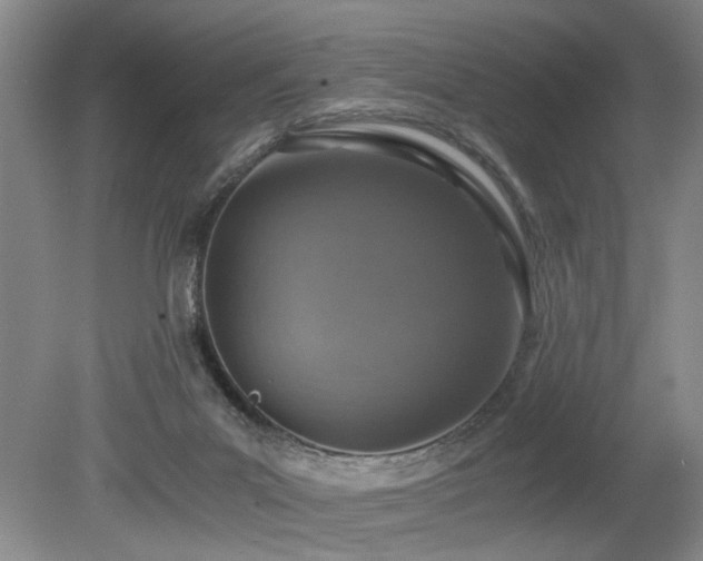 X0000080140023200612081307