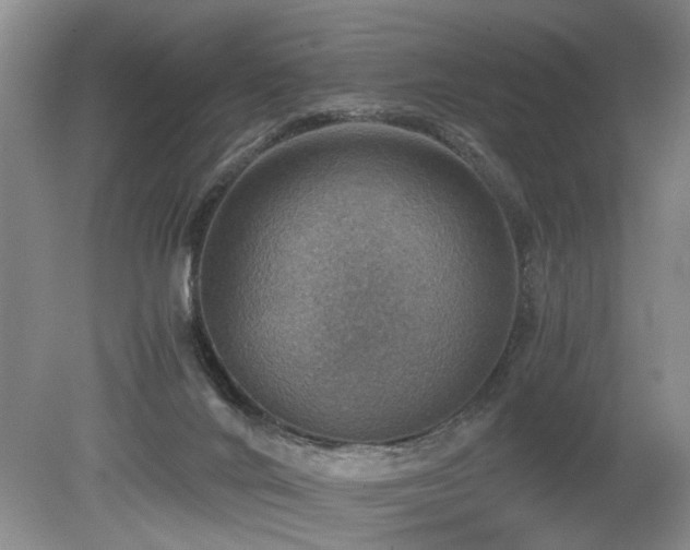 X0000080140024200612081307