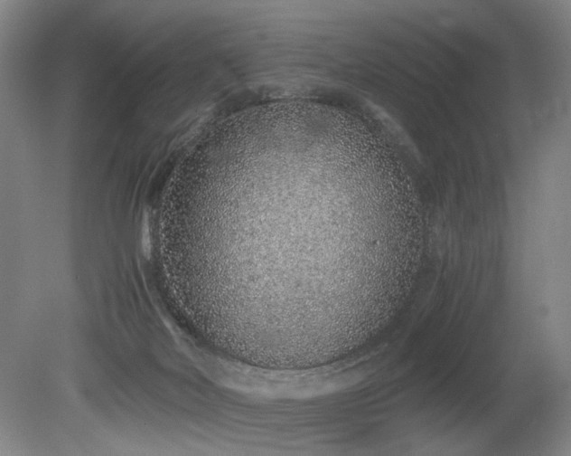 X0000080140026200612081307
