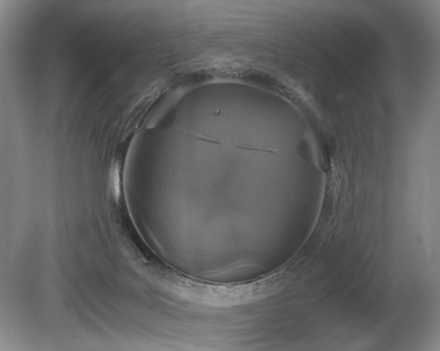 X0000080140027200612081307