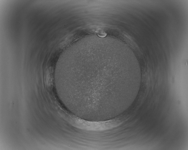 X0000080140030200612081307