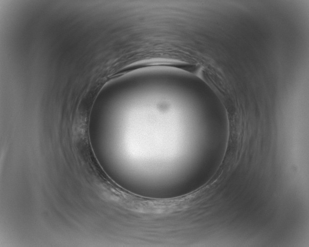 X0000080140033200612081307