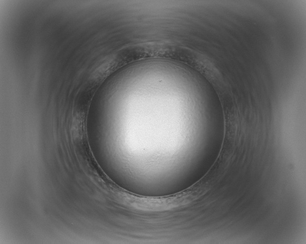 X0000080140034200612081307