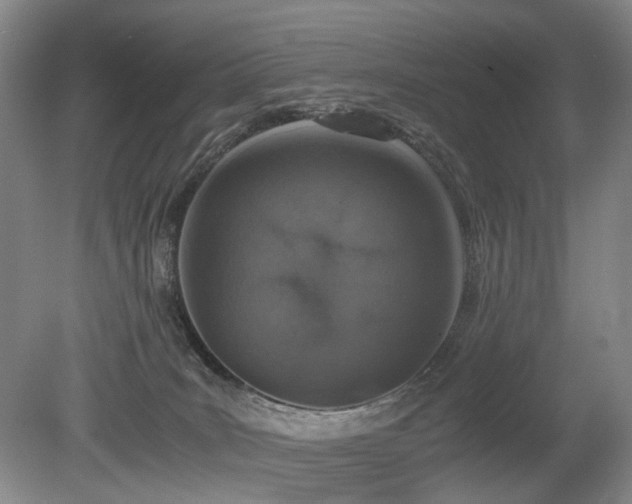 X0000080140035200612081307