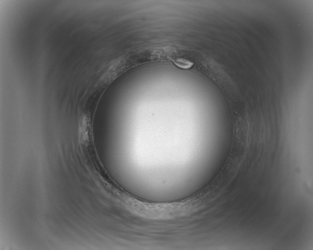 X0000080140038200612081307