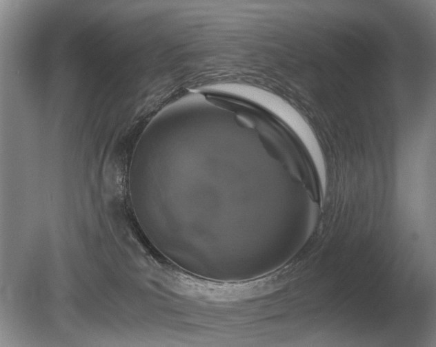 X0000080140039200612081307