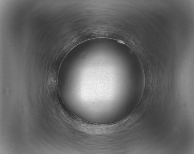 X0000080140040200612081307