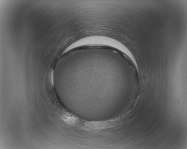 X0000080140041200612081307