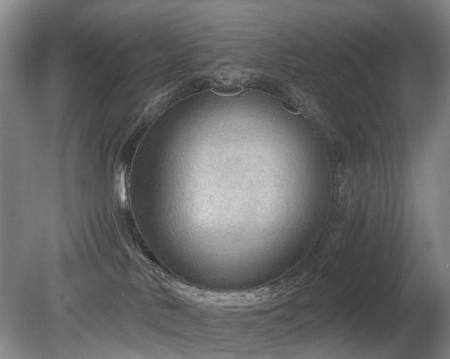 X0000080140042200612081307