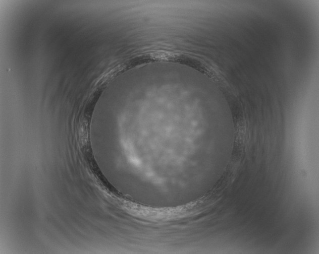 X0000080140043200612081307