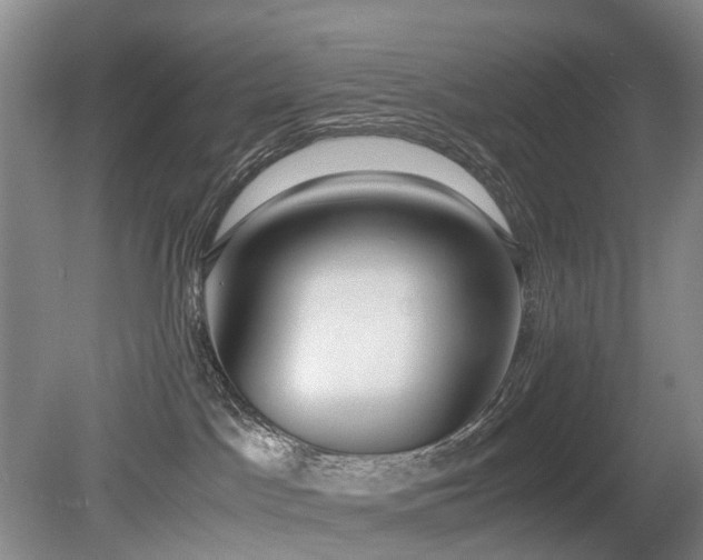 X0000080140045200612081307