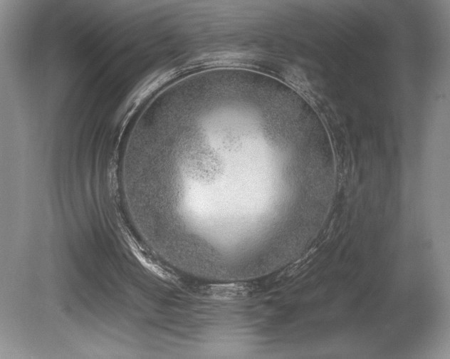 X0000080140050200612081306