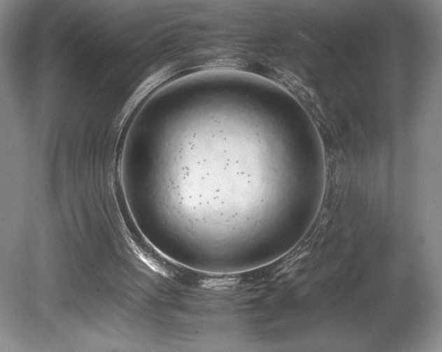 X0000080140051200612081306