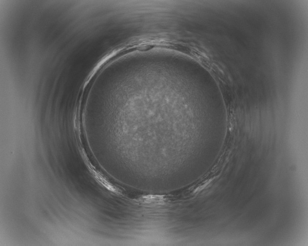 X0000080140052200612081306