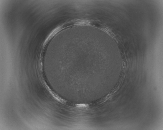 X0000080140053200612081306