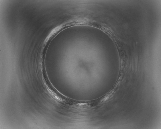 X0000080140054200612081306