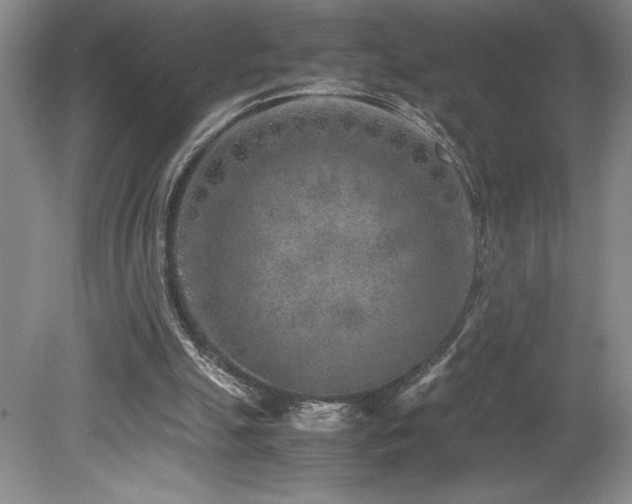 X0000080140055200612081306