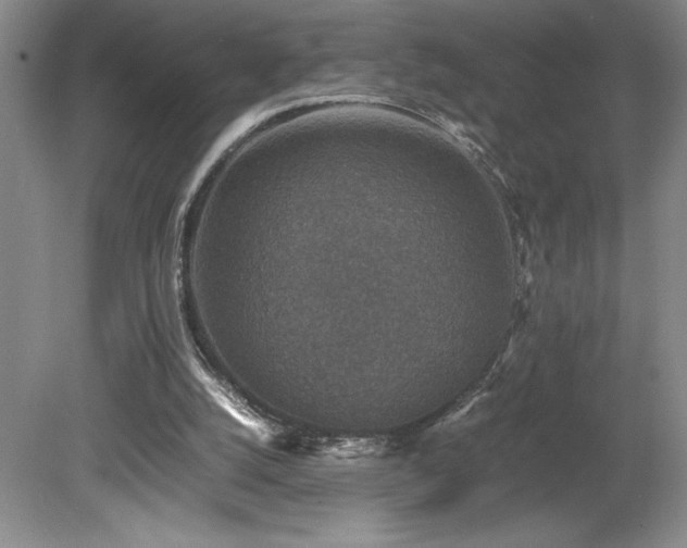X0000080140056200612081306