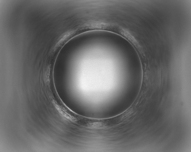 X0000080140058200612081306