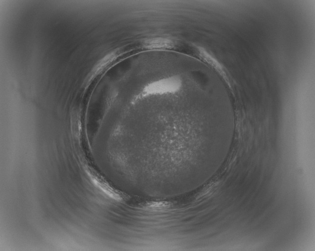 X0000080140059200612081306
