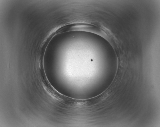X0000080140060200612081306