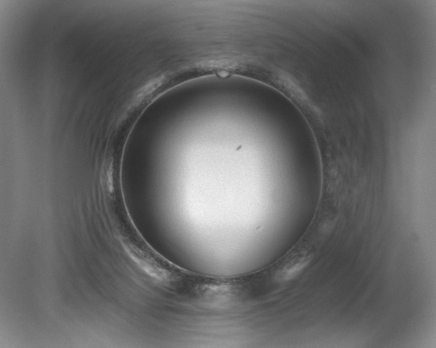 X0000080140068200612081306