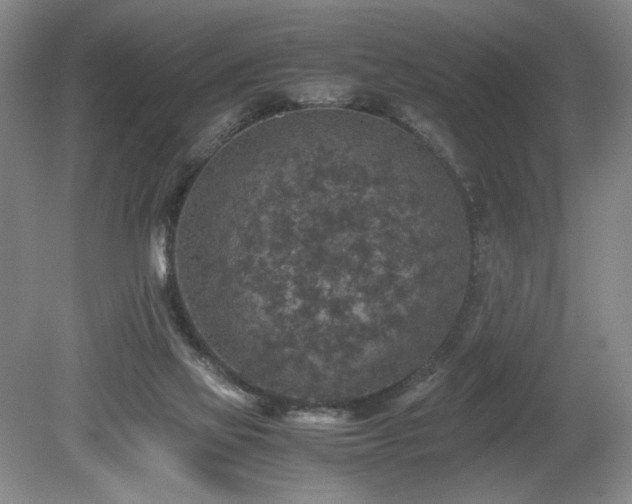 X0000080140069200612081306